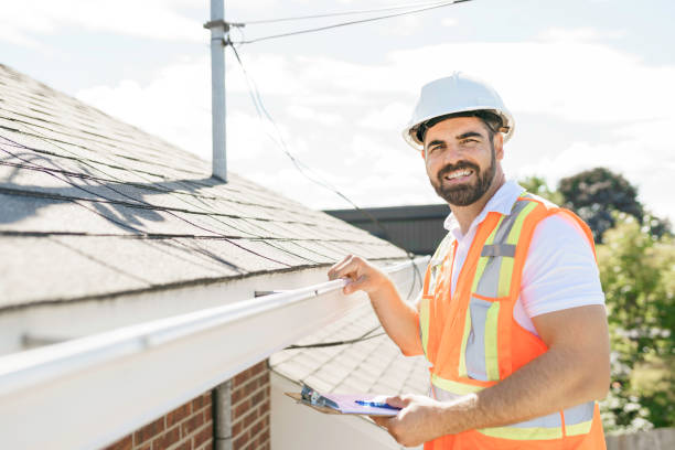 Best Flat Roof Repair Services  in Lincoln, IL