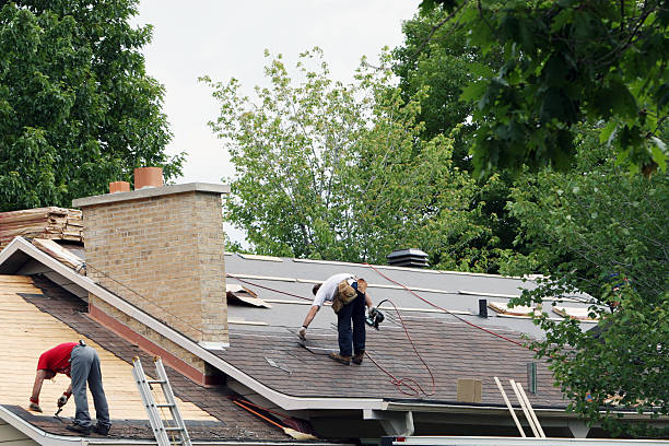 Best Roof Maintenance Services  in Lincoln, IL