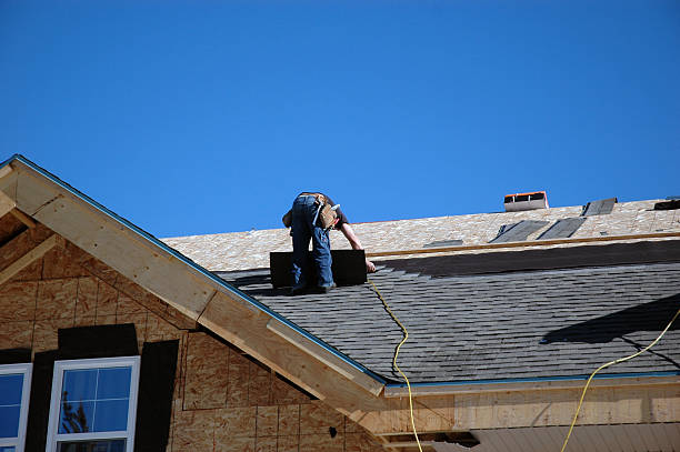 Best Flat Roof Repair Services  in Lincoln, IL